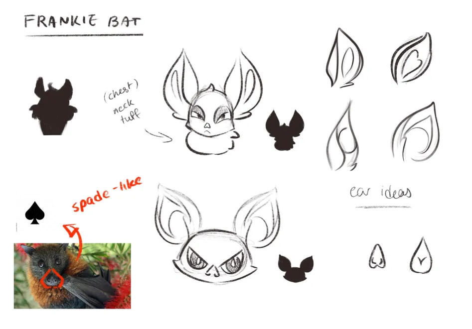 Frankie's Concept | Ear and Shape